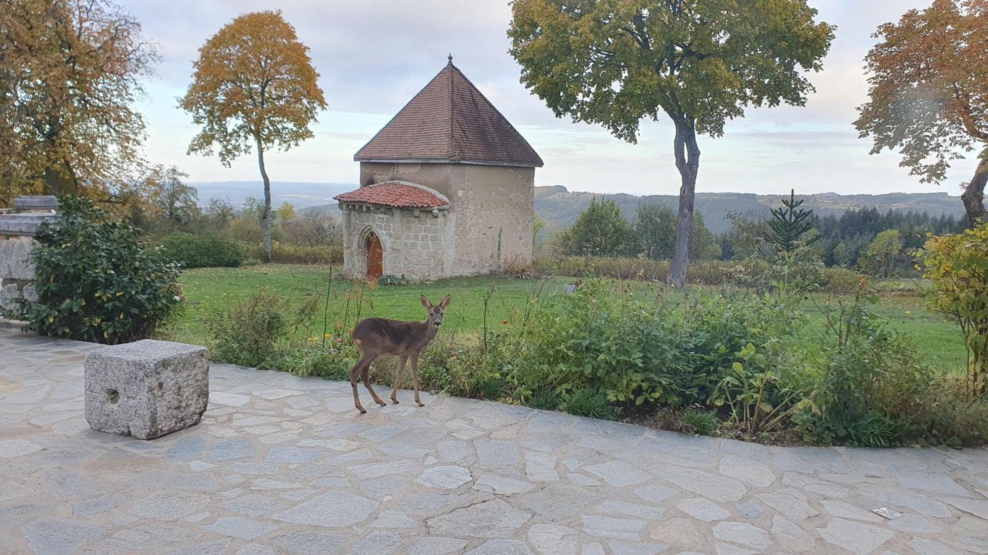 مبيت وإفطار Saint-Victor-Montvianeix Domaine De Montvianeix المظهر الخارجي الصورة